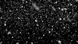 Winter Snowfall Overlay Realistic Falling Snow Stock Footage Video (100% Royalty-free) 3659831237 | Shutterstock