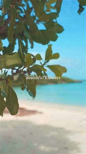 Lighten Your Mind & Start Your Day Feeling Good 🌺 Vol.2 | Hawaiian Music | Work & Relax
