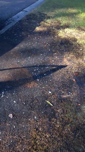 SMRC: Burnt out van , burnt grass and broken glass