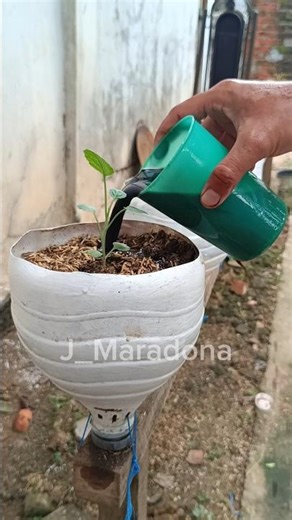 Boost Plant Growth with Humic Acid and Liquid Organic Fertilizer #gardenhacks