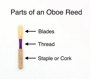 Lesson 1: Reed & Embouchure