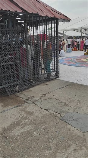 Dharani Krishna Yn | Present situation in tirumala direct queue | Instagram