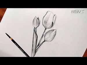 How to draw a tulip flower | pencil drawing | step by step | black and white