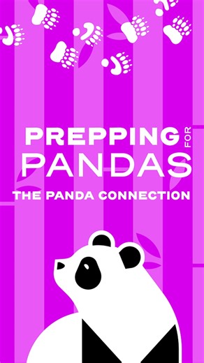 34K views · 663 reactions | ️ From births and first steps to...