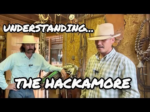 Understanding The Hackamore | An In Depth Breakdown