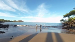 Explore the Blue: 360° Hawaiian Adventure