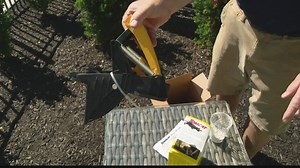 Pat Sullivan: Controlling rodents around your home