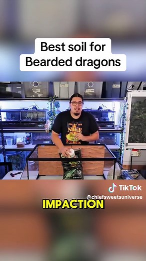 Best Soil Options for Bearded Dragons