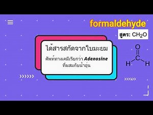 formalin test (การทดสอบสารฟอร์มาลินโดยใช้ใบมะยม)