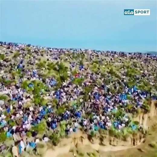 له کرېکټ سره د خوستوالو مینه #shorts #cricket #viral
