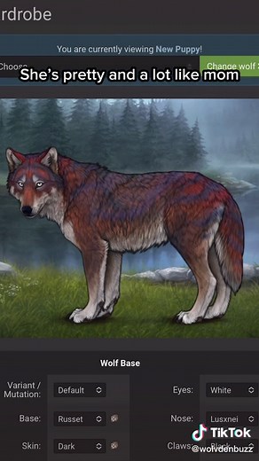 Wolvden Breeding: A Good & Bad Litter