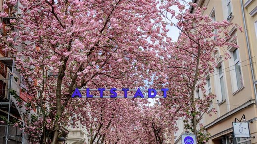 7 schöne Frühlings-Ausflugsziele in Deutschland – für Kurzurlaub und Wochenende