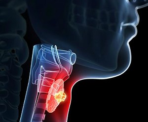 Glândula Tireoide: Entenda A Função Da Tireoglobulina | Dr. Arthur Vicentini CRM-SP 154086