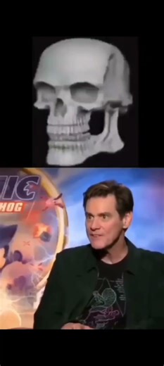 the grinch memes 🤣 👌 😂