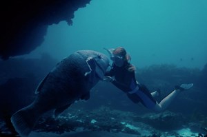 Blueback - Screenwest