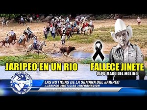 Rodeo on a River - Tragic Death of a Rider 📰🗞