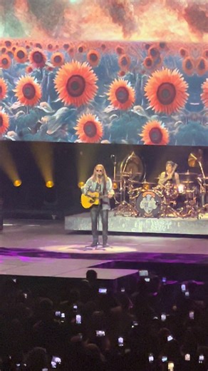 #mana #mariposa #traicionera