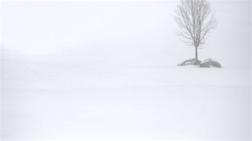 Frigid cold to fall sub-zero this week; plan now to avoid health risk