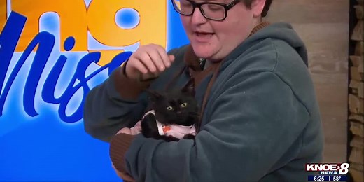 Adopt a Pet: Meet Choco!