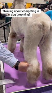194K views · 1.2K reactions | Thinking about entering a dog grooming competition? Industry expert, Wahl Elite Educator @superstylingsessions gives his tips on what judges are looking for. What’s the next competition that you’re entering? | Wahl Animal USA | Facebook