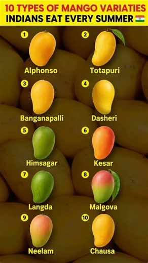 10 Types of Mango Varities