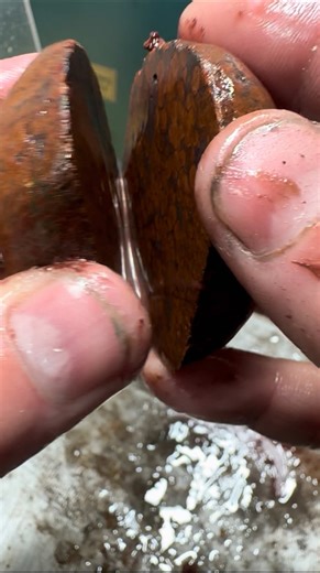 Amy's Washington cut-a-thon - Part 4 of 6 #rockcutting #rocks #lapidary #stone #minerals