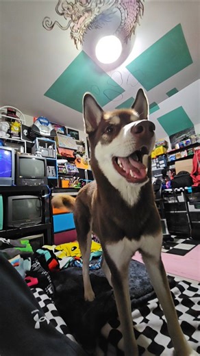 auto level grinding in smrpg for an upcoming vhs longplay. got a job interview today :)