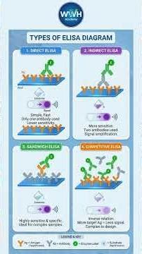 From HIV to Pregnancy Tests – The Magic of ELISA! 😱