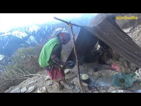 the woman in her sheep farm || lajimbudha || Nepal ||