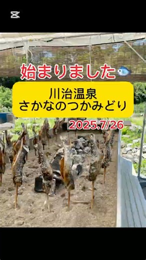 【川治温泉】さかなのつかみどりスタート‼️#ニジマス #川遊び#夏休み