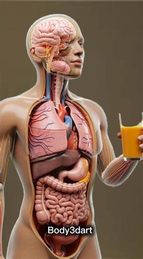 “What Happens After You Eat Mango? 😳”