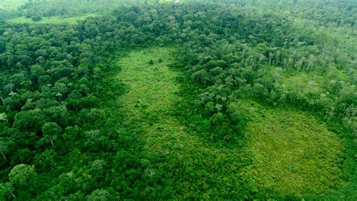 Sightings Of The Legendary Mokele-Mbembe "Dinosaur" Of The Congo Are Increasing. What Is Going On?