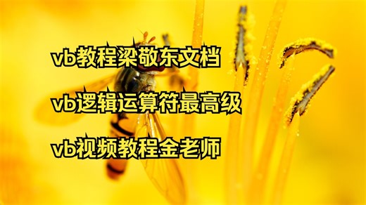 vb教程梁敬东文档 vb逻辑运算符最高级 vb视频教程金老师