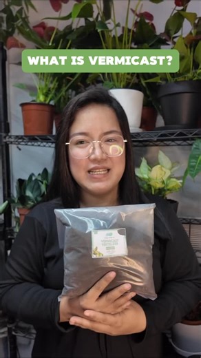 Soil 101: What is Vermicast? 樂缾 Here’s a video that explains what vermicast is, its benefits, recommended plants, how to use it, and some pro tips  Available in 1kg & 5kg ️ | Plant Culture PH | Facebook