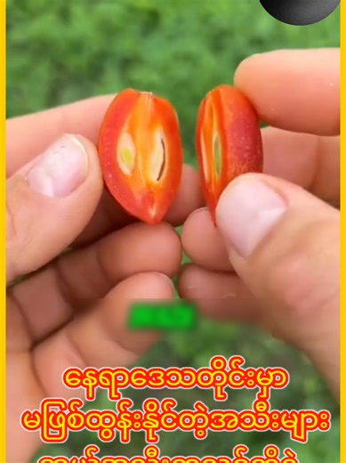 Rare Fruits That Grow Uniquely in Nature