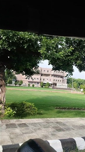 NIT Jalandhar Campus Tour #NITJalandhar #CollegeLife #shorts #iitjee