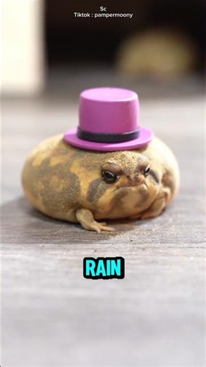 This frog can't jump.......