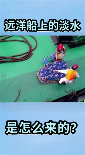 Understanding International Shipping and Logistics Trends