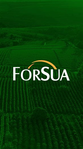 Si quieres realizar un proyecto agrícola exitoso, no basta con invertir dinero — necesitas los conocimientos correctos. El curso Agronomía para no Agrónomos te enseña paso a paso cómo: 🌾 Comprender los procesos de agricultura moderna 🌱 Seleccionar fertilización y nutrición para tus cultivos 🪱 Evitar plagas y enfermedades que dañen tu producción 💧 Implementar sistemas eficientes de riego y fertirrigación 🚜 Manejar cosecha y post-cosecha para evitar pérdidas Hotmart Todo esto con un enfoque p