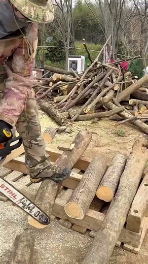 Cutting thick wooden logs into smaller pieces using a powerful chainsaw to prepare for woodworking