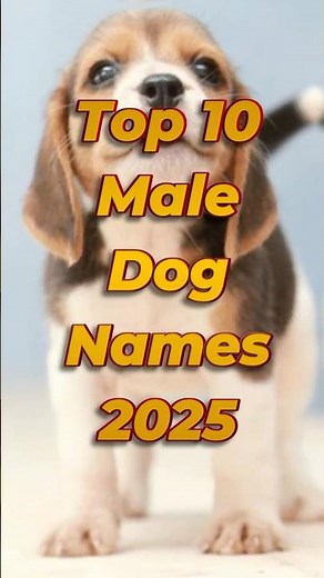 Top 10 Male Dog Names 2025 You Won't Believe🐶🔥 Best Dog Names for Boys #shorts #dognames #petnames