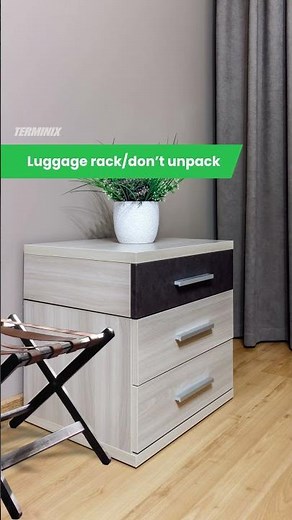 How to Prevent Bed Bugs in Your Luggage: Travel Tips!