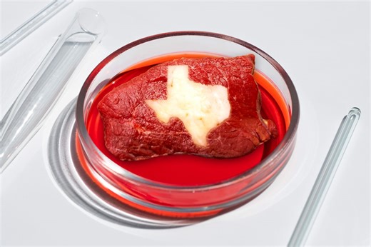 In Texas, a Ban on Lab-Cultivated Meat Reflects Deeper Divides