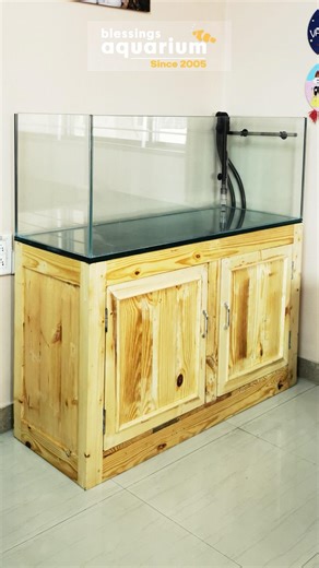 Custom made fish tank delivery in Pune | Blessings aquarium