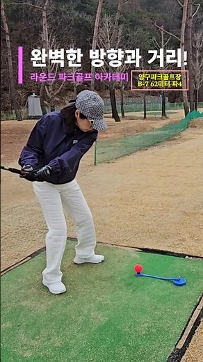 파크골프 잘 치는 법! 완벽한 방향과 거리!#파크골프 #파크골프동영상 #파크골프스윙 #파크골프치는법 #한반도섬파크골프장