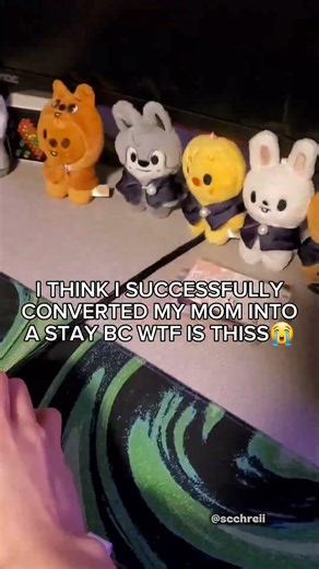 WHERE TF DID SHE GET THESE💔 HELLO..?? #straykids #skz #minsung #kpop #han #leeknow