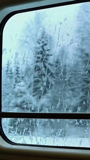 A Moment of Winter Calm ❄️ Train Window & Snowfall