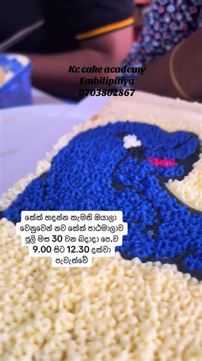 kc.cakeacademy on TikTok