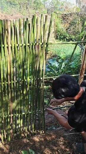 Has your vegetable garden been fenced off#Agriculture rural areas and farmers#Handmade#Tec