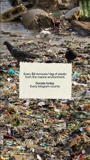 Be One of the Reasons We Reach 8 Million | #sustainability #ocean #nature #plasticpollution